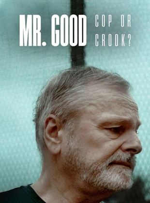 Mr. Good : Flic ou baron ? Saison 1 en streaming