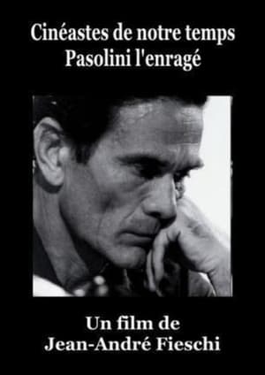 Pasolini l'enrage